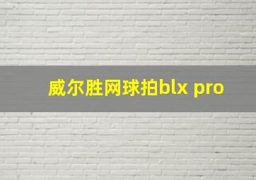 威尔胜网球拍blx pro